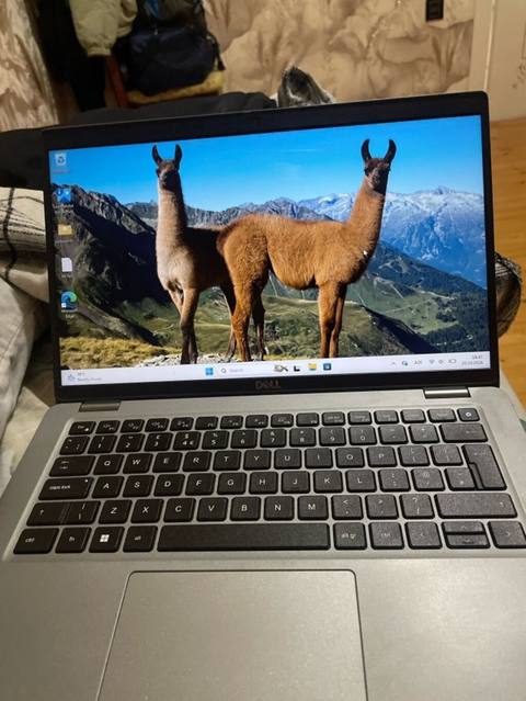 İşlənmiş Dell Latitude, 14 Intel Core i5, 256 GB, Ünvandan götürmə, Pulsuz çatdırılma, Ödənişli çatdırılma — 499 ₼ · Baku · Dell İşlənmiş Dell Latitude, 14 Intel Core i5, 256 GB, Ünvandan götürmə, Pulsuz çatdırılma, Ödənişli çatdırılma — Baku