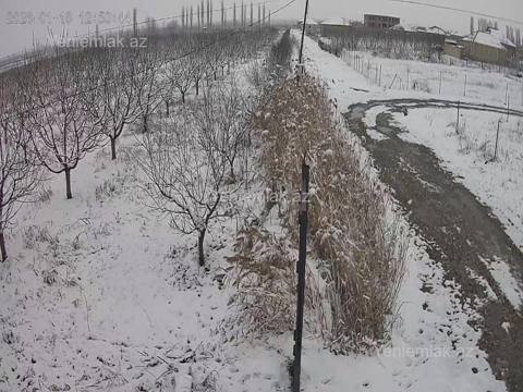 Satılır Torpaq sahəsi, 436 sot, Quba — Guba