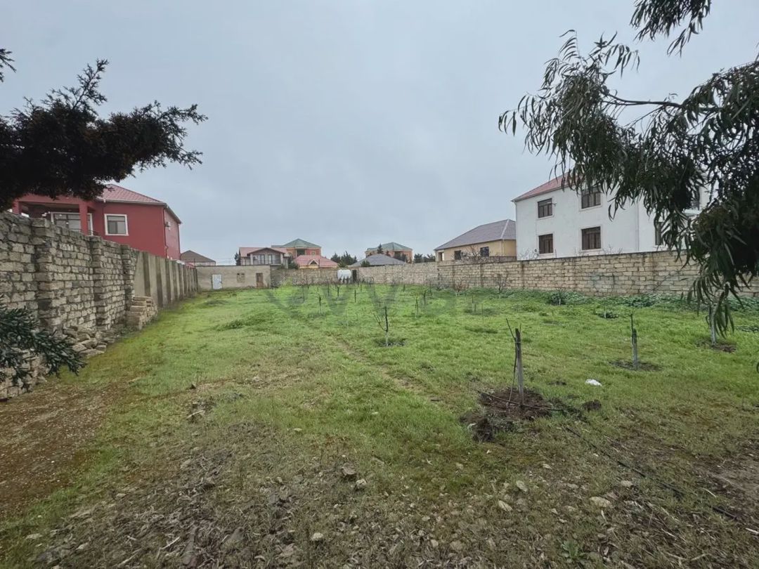 For sale: land, 13 sot — Torpaq, Bakı (2)