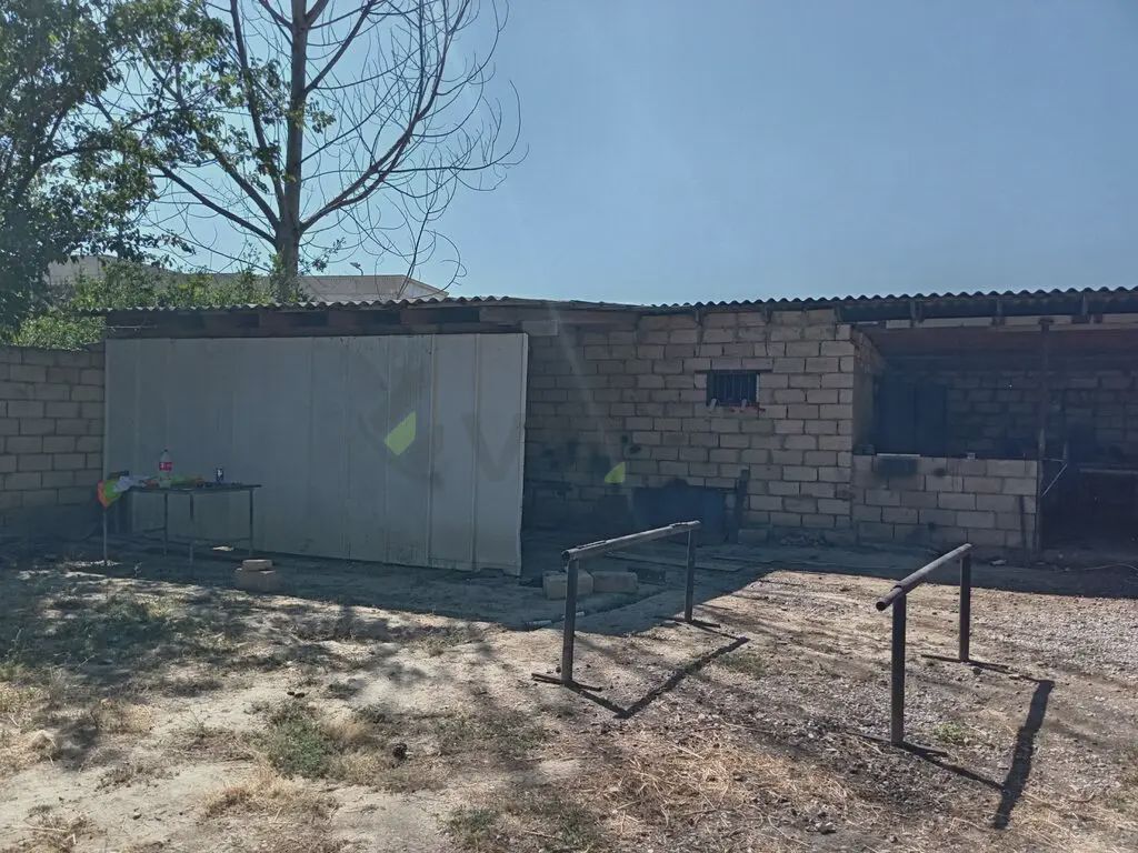 For sale: land, 4 sot — Torpaq, Salyan (8)