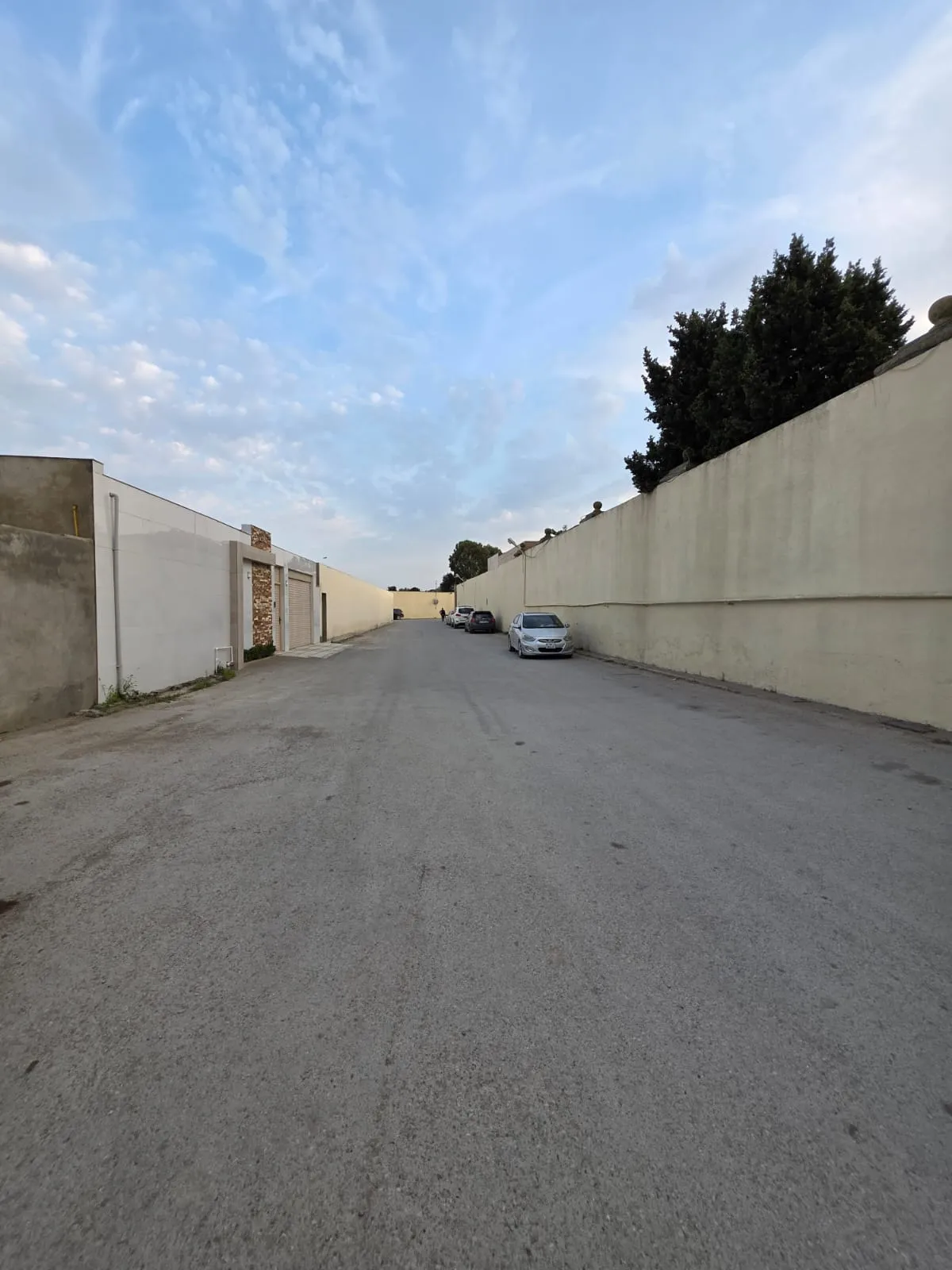 Satılık arsa, 6 sot — Torpaq, Bakı (8)