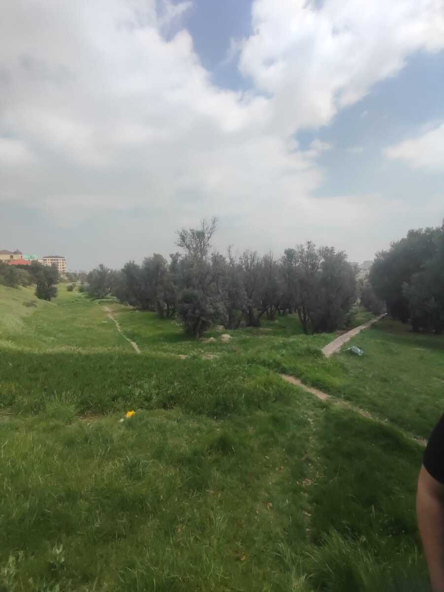 Satılık arsa, 80 sot — Torpaq, Bakı (2)