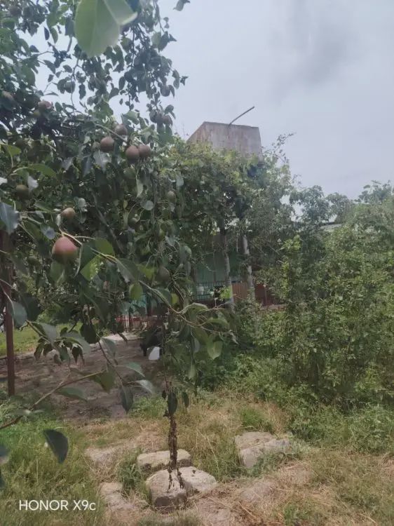 For sale: 3-room house / Cottage / Villa, 60 m² — Ev, villa, Xaçmaz (2)