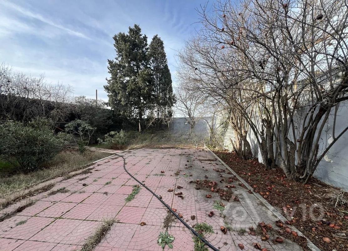 For sale: land, 5 sot — Torpaq, Bakı (4)