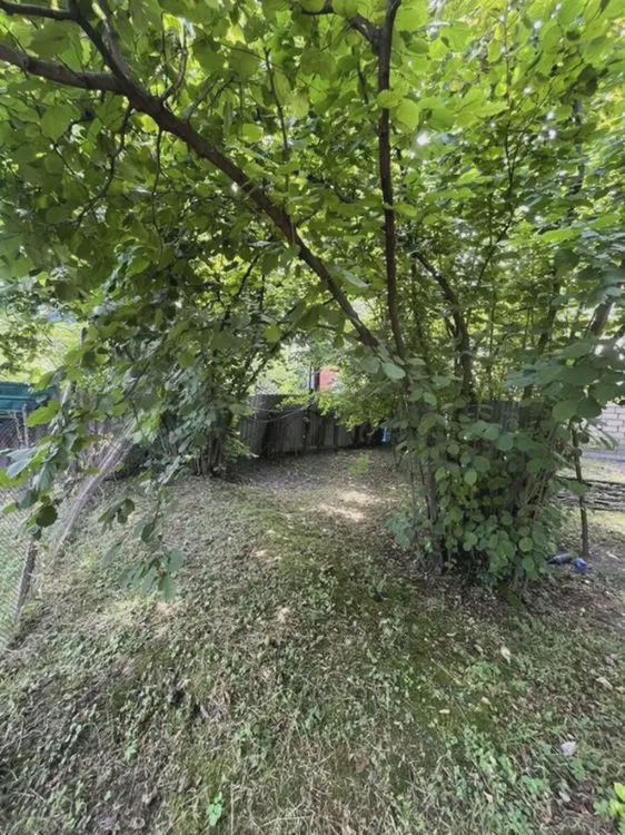 For sale: land, 2.76 sot — Torpaq, Zaqatala (6)