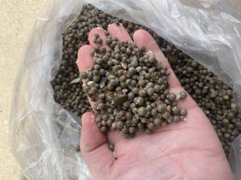 Akvarum üçün bitgi quruntu 3 kilodur 15 azn — Baku