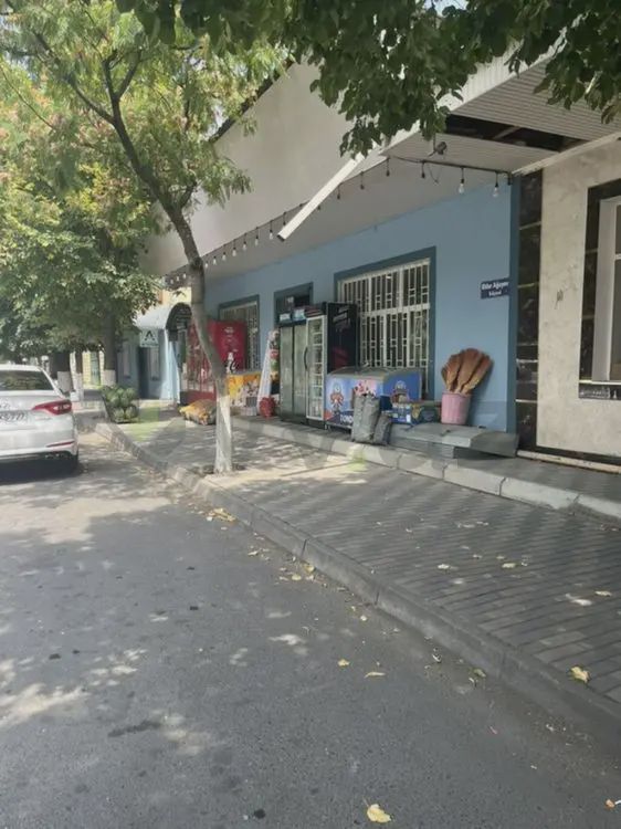 For sale: land, 2.76 sot — Torpaq, Zaqatala (3)