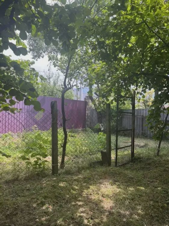 For sale: land, 2.76 sot — Torpaq, Zaqatala (9)