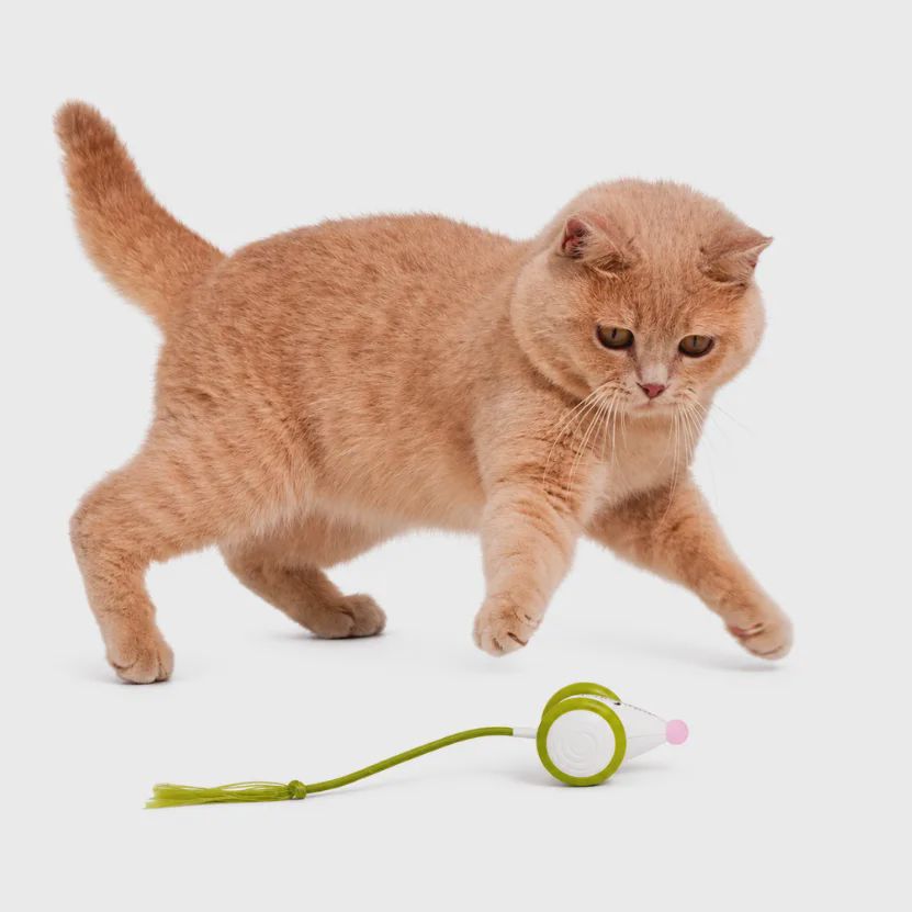 Pişik oyuncağı Cheerble Wicked Mouse Neo Green — Əyləncə, Bakı (4)