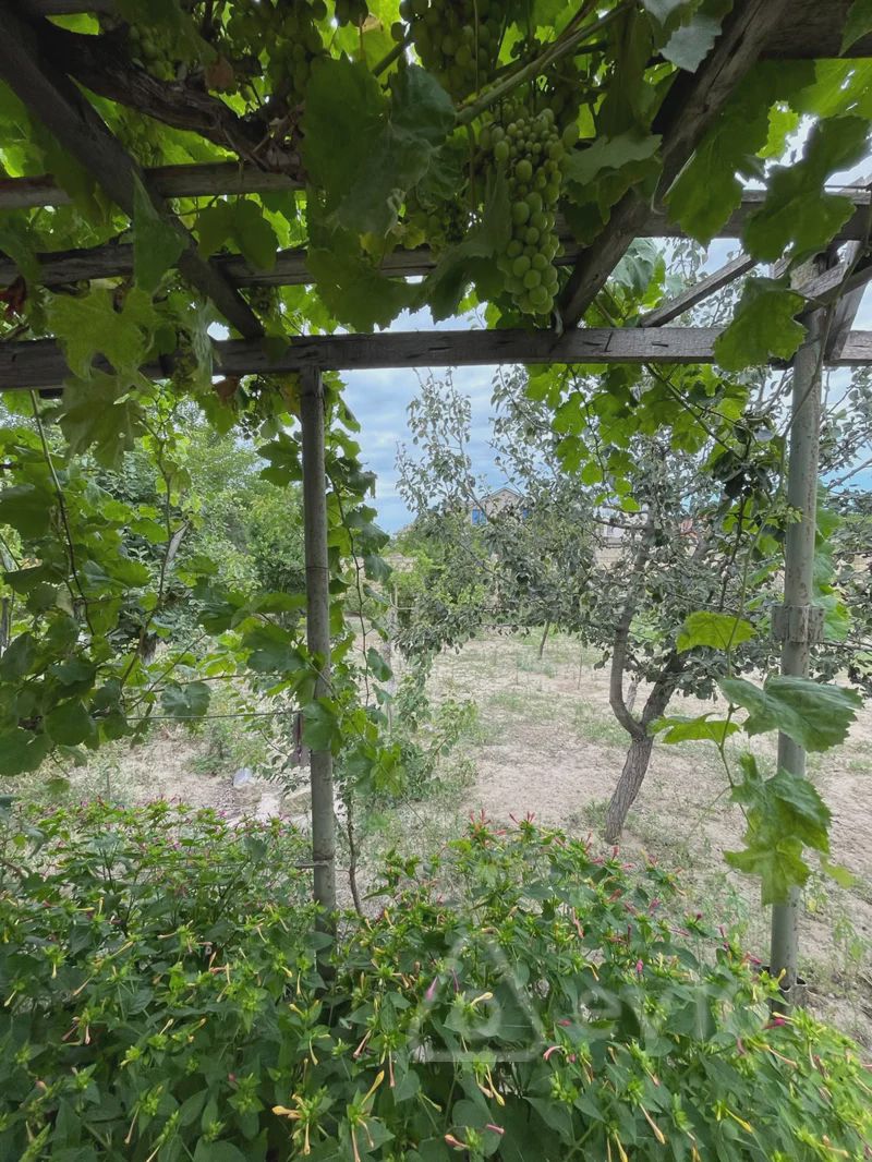 Sotiladi: дом / Дача / Вилла, 280 m² — Ev, villa, Bakı (4)
