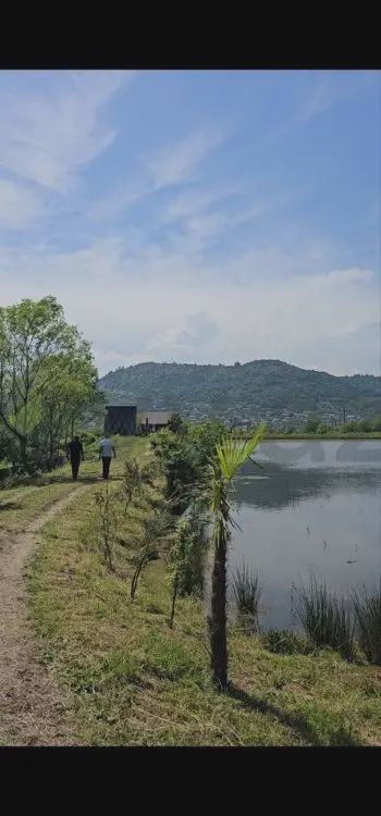 Satılık arsa, 350 sot — Torpaq, Astara (6)