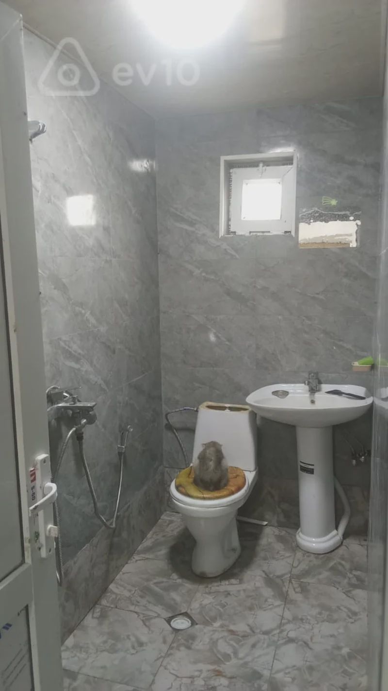 For sale: 2-room house / Cottage / Villa, 48 m² — Ev, villa, Bakı (12)