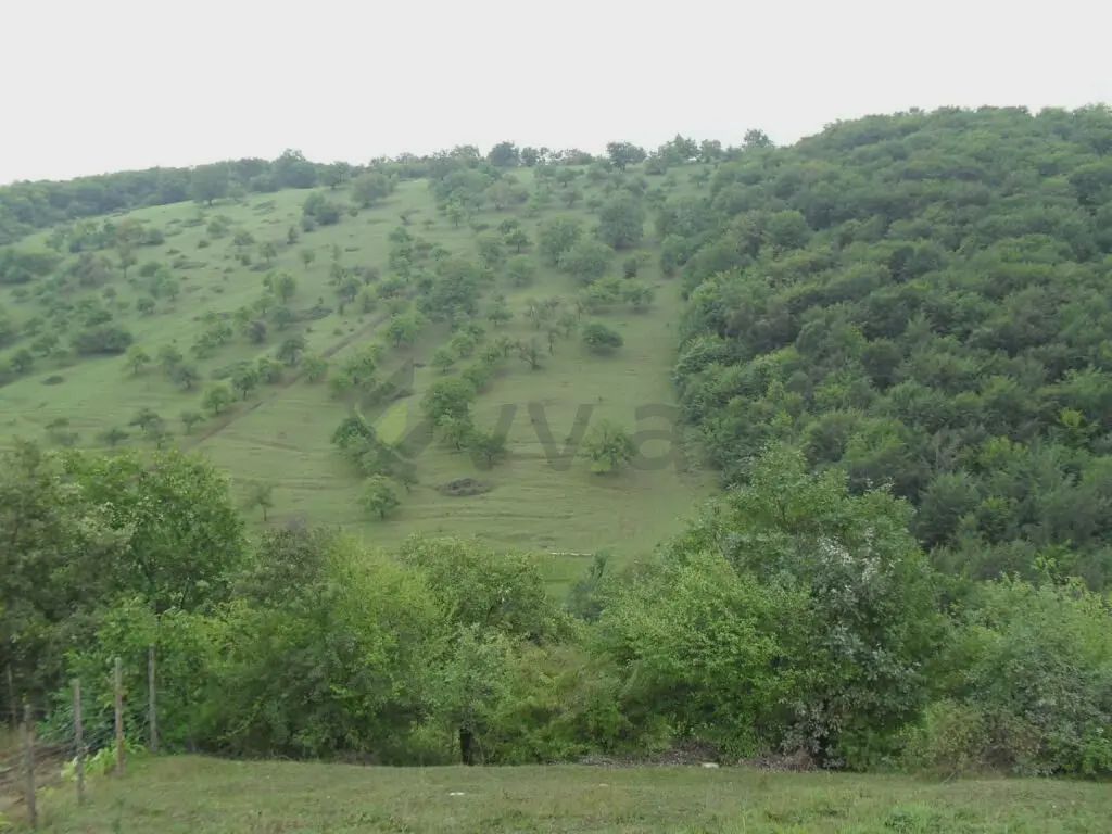 For sale: 2-room house / Cottage / Villa, 60 m² — Ev, villa, Qusar (12)