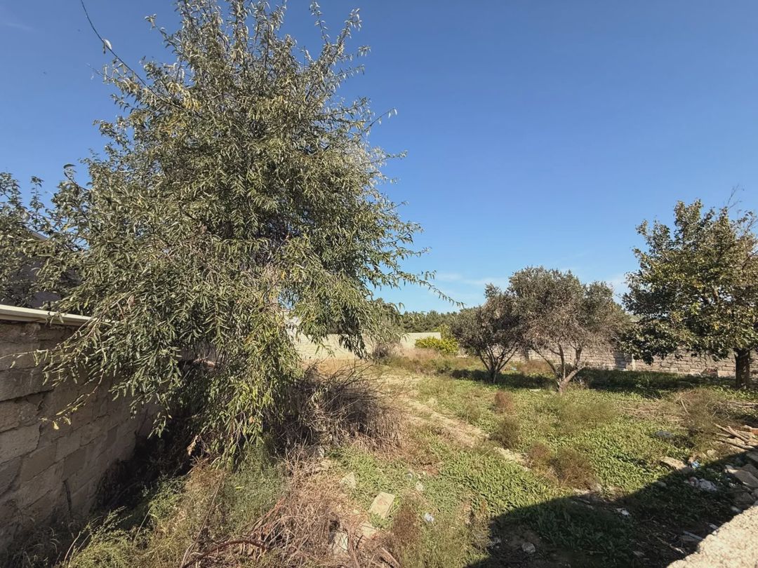 Satılık arsa, 7.5 sot — Torpaq, Bakı (6)