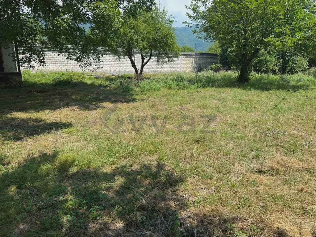 10 sot Torpaq Satılır, Qəbələ — Torpaq, Qəbələ (2)