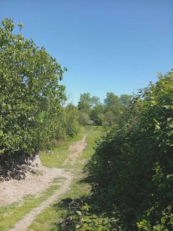 Satılık arsa, 38 sot — Torpaq, Oğuz (12)