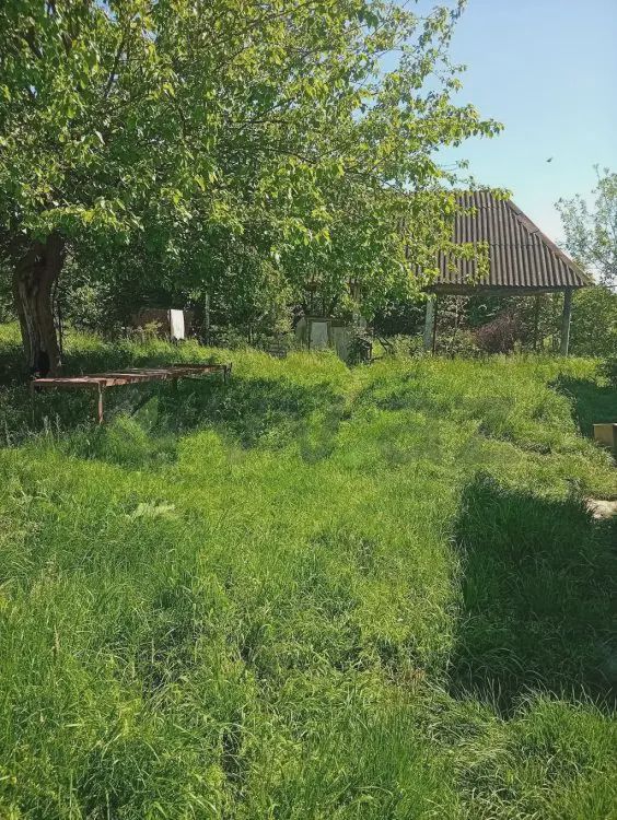 Satılık arsa, 38 sot — Torpaq, Oğuz (11)