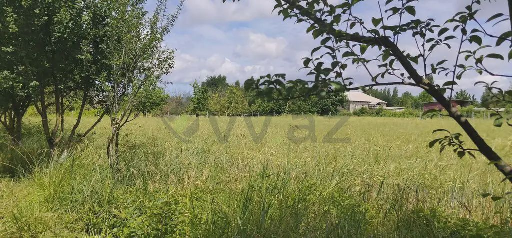 Продаётся участок, 200 сот. — Torpaq, Quba (11)