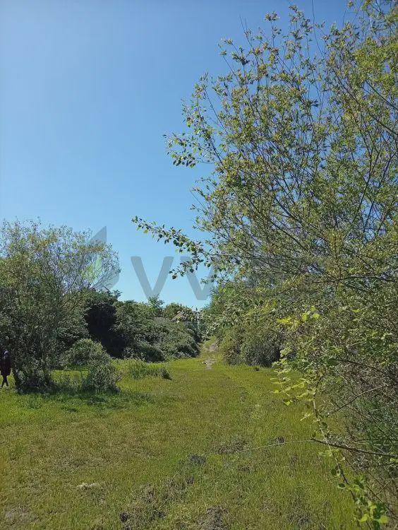 Satılık arsa, 38 sot — Torpaq, Oğuz (6)