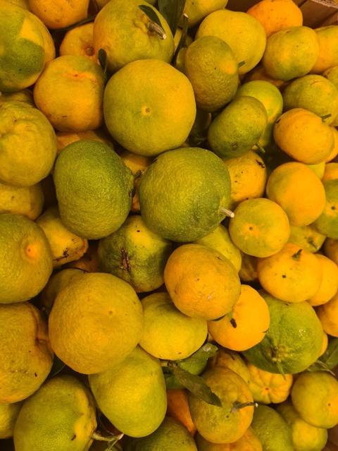 Mandarin (1.60 azn)ve Feyxo (1.10 azn) õz bagimin mehsuludu azotsuz — Bakı