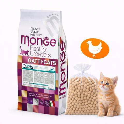 Quru yem pişik balaları üçün Monge, 1 kq — Баку