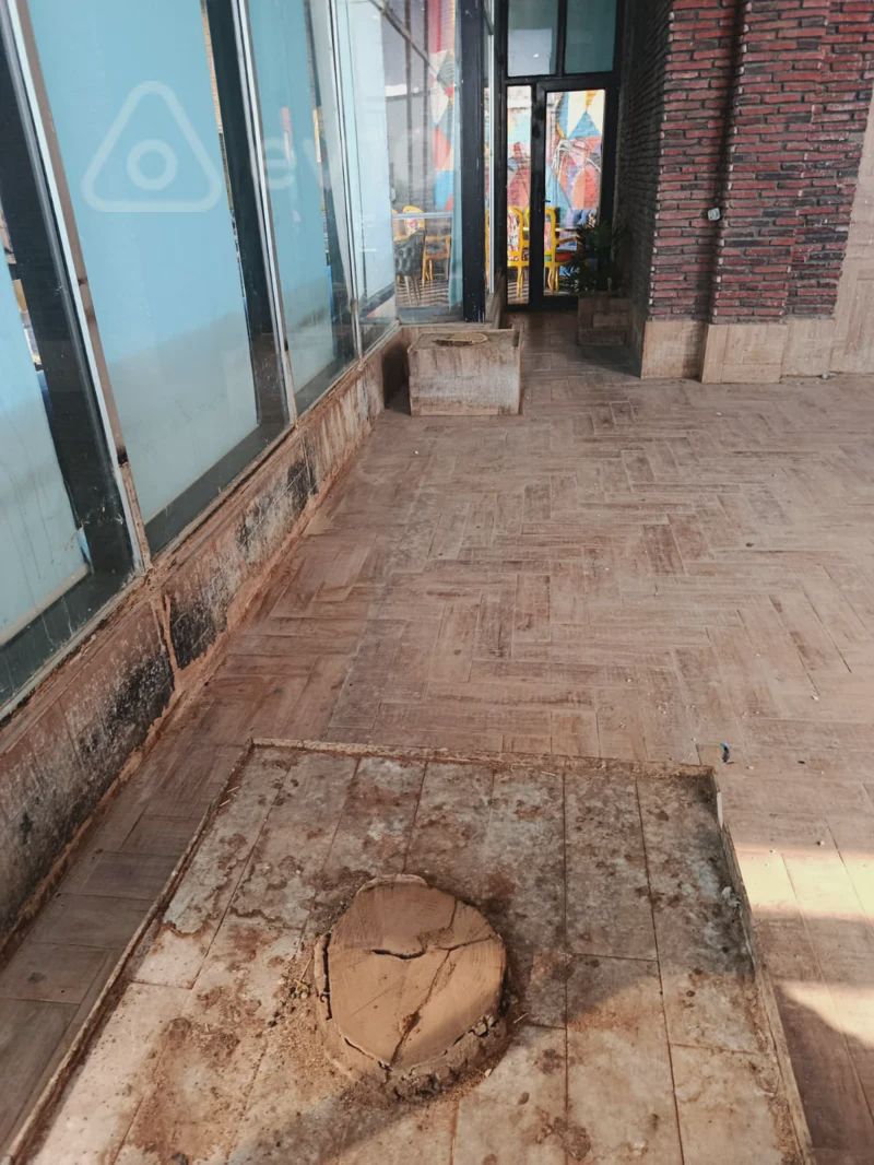 Продаётся коммерческий объект, 180 м² — Əmlak, Bakı (4)