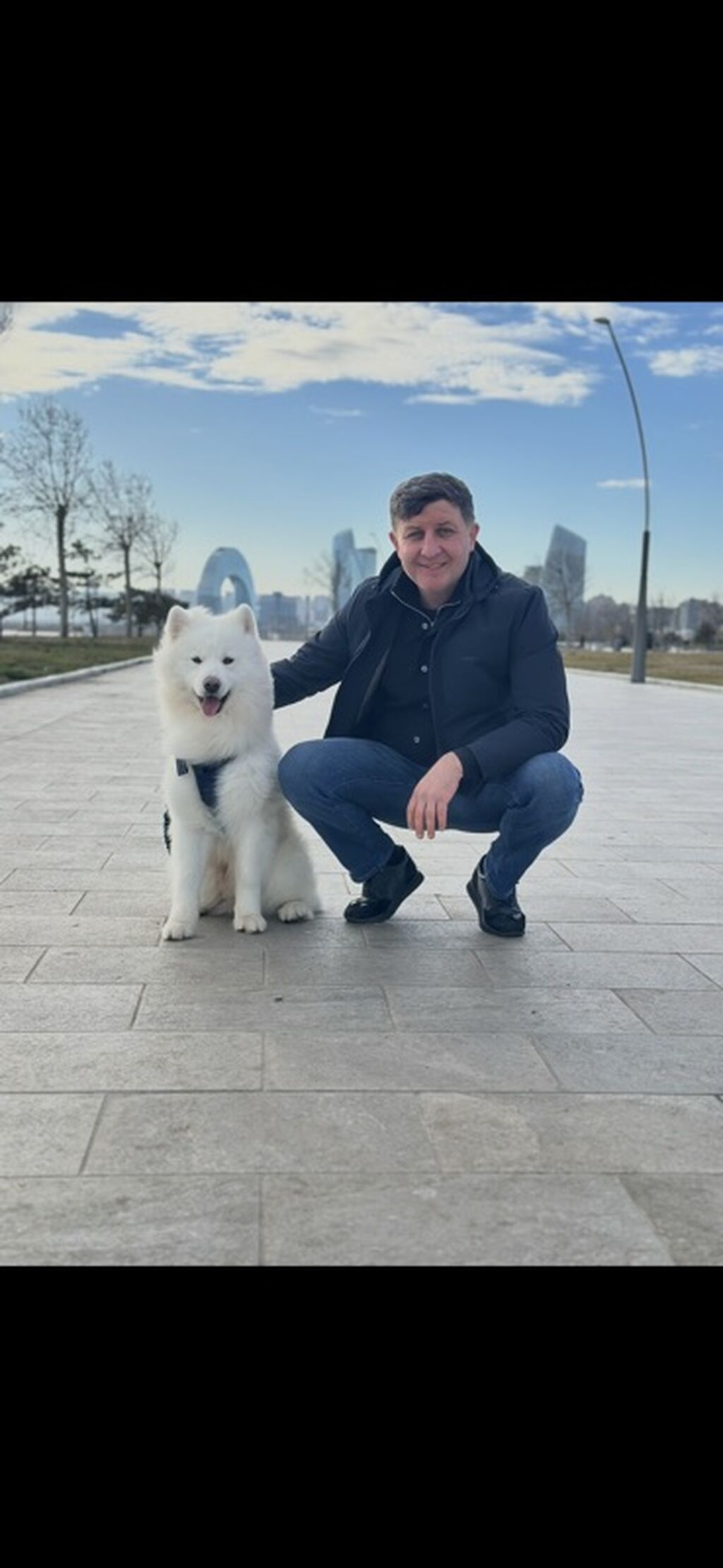 Samoyed, 2 il, Erkək, Cütləşmə üçün — Köpəklər, Bakı (2)