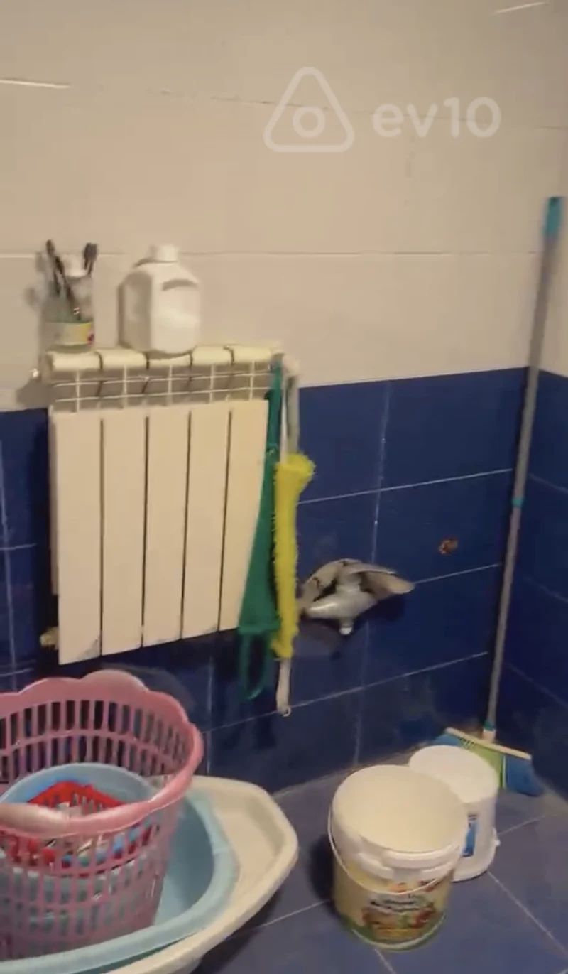 For rent: 2-room house / Cottage / Villa, 65 m² — Ev, villa, Bakı (12)