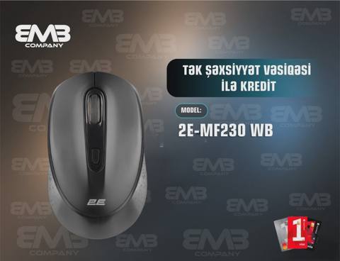 2E komputer siçanı — Баку