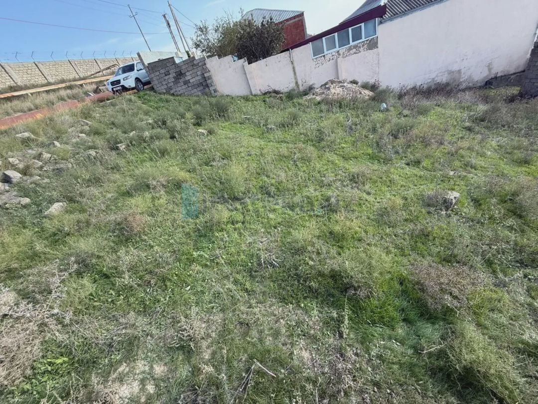 For sale: land, 3 sot — Torpaq, Digah (2)