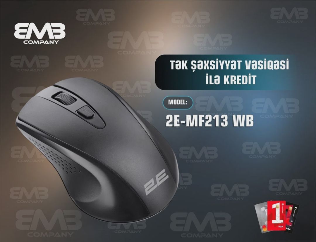 2E komputer siçanı — Elektronika, Bakı