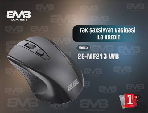 2E komputer siçanı — Баку