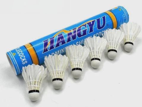 Badminton üçün volan dəsti WS0935, 6 əd — სპორტი, ჰობი, დასვენება