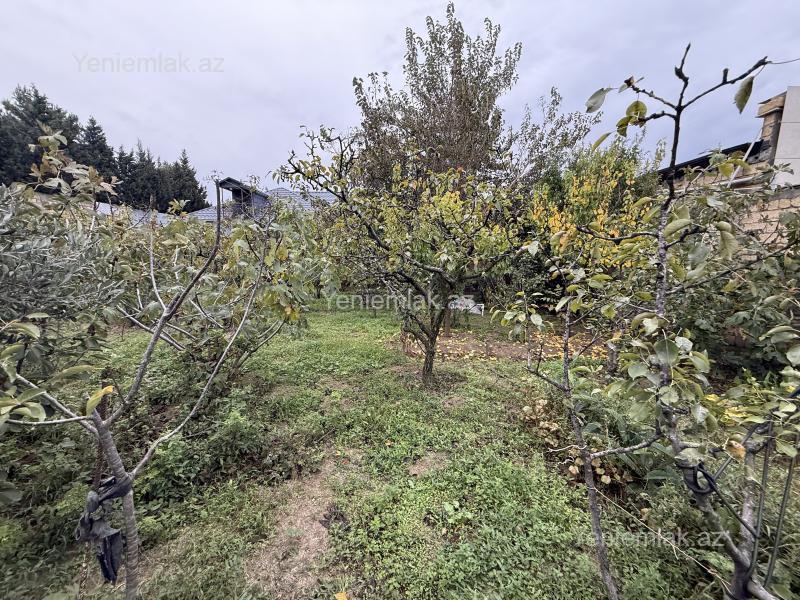 For sale: land, 5 sot — Torpaq, Abşeron (5)