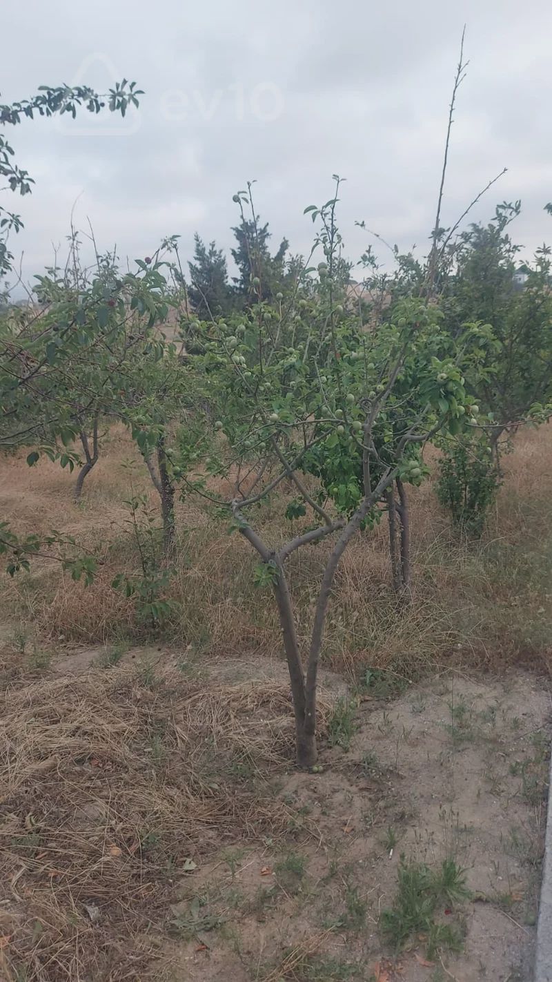 For sale: house / Cottage / Villa, 250 m² — Ev, villa, Bakı (4)