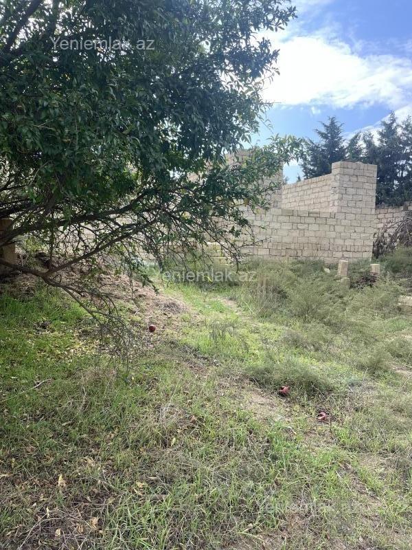 For sale: land, 8 sot — Torpaq, Abşeron (6)