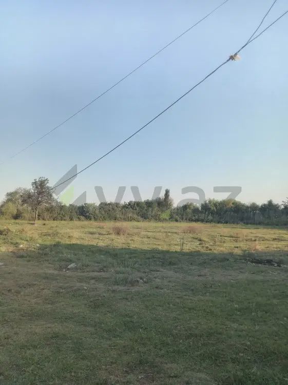 For sale: land, 50 sot — Torpaq, Sabirabad (3)