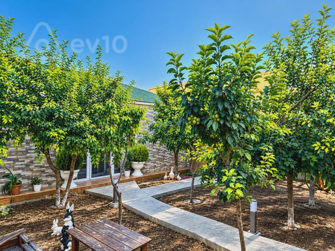 Sotiladi: дом / Дача / Вилла, 240 m² — Ev, villa, Bakı (10)