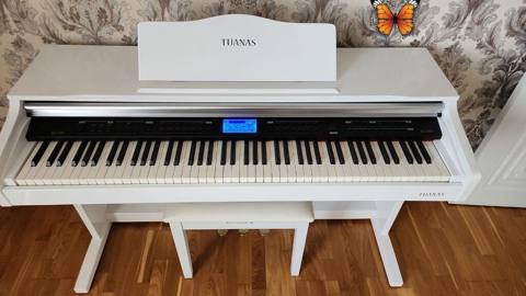 Piano – 650 m Ünvan: Binəqədi Kod: 2741 Samirə Model: Tuanas — 650 ₼ · Bakı · Pianino və digər klaviş alətləri Piano – 650 m Ünvan: Binəqədi Kod: 2741 Samirə Model: Tuanas — Bakı