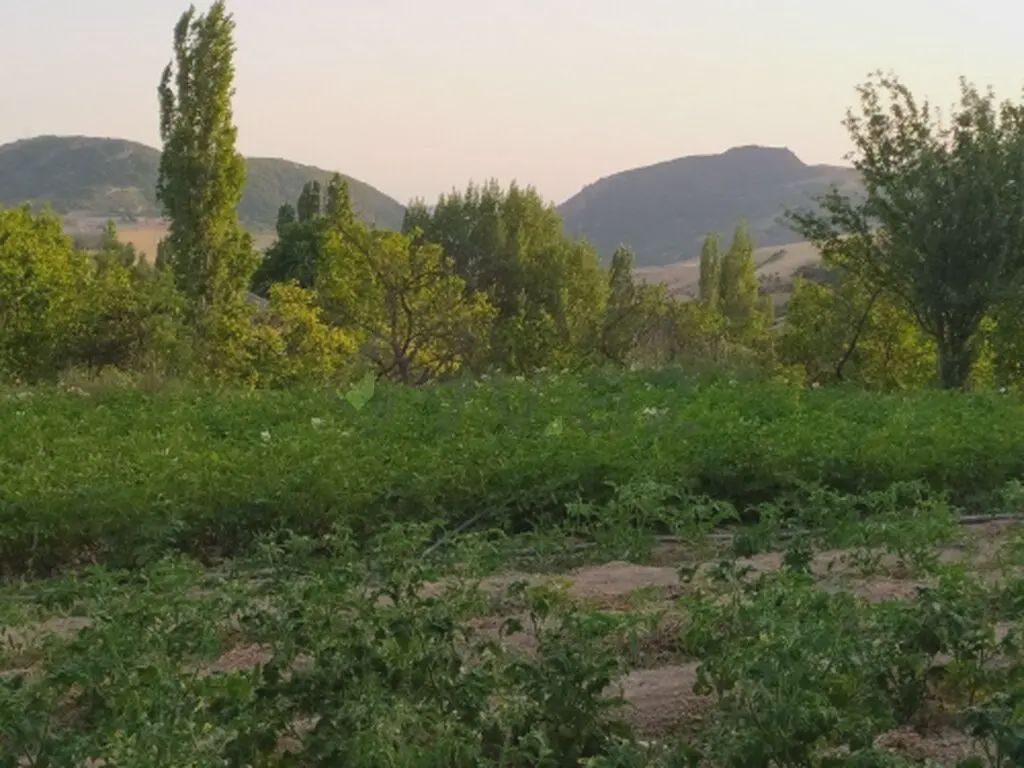 Сатылат: участок, 10 сот. — Torpaq, Şamaxı (6)