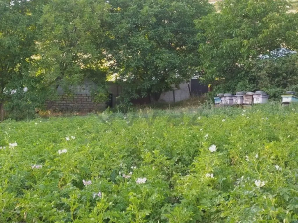 Сатылат: участок, 10 сот. — Torpaq, Şamaxı (11)