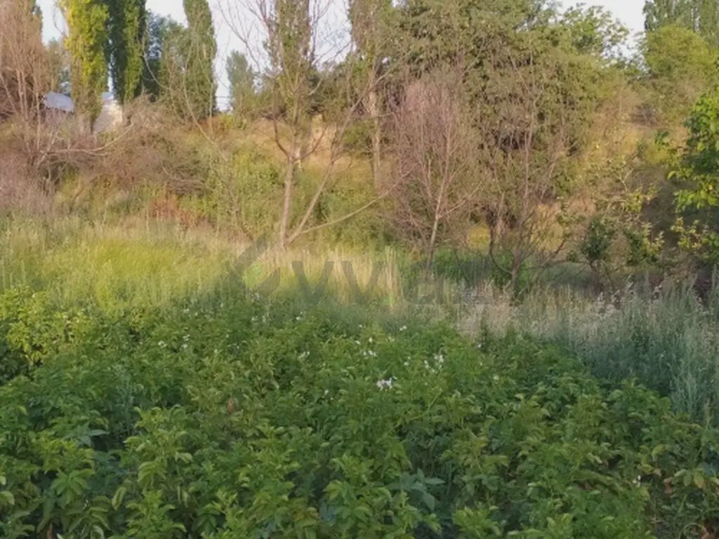 Сатылат: участок, 10 сот. — Torpaq, Şamaxı (9)