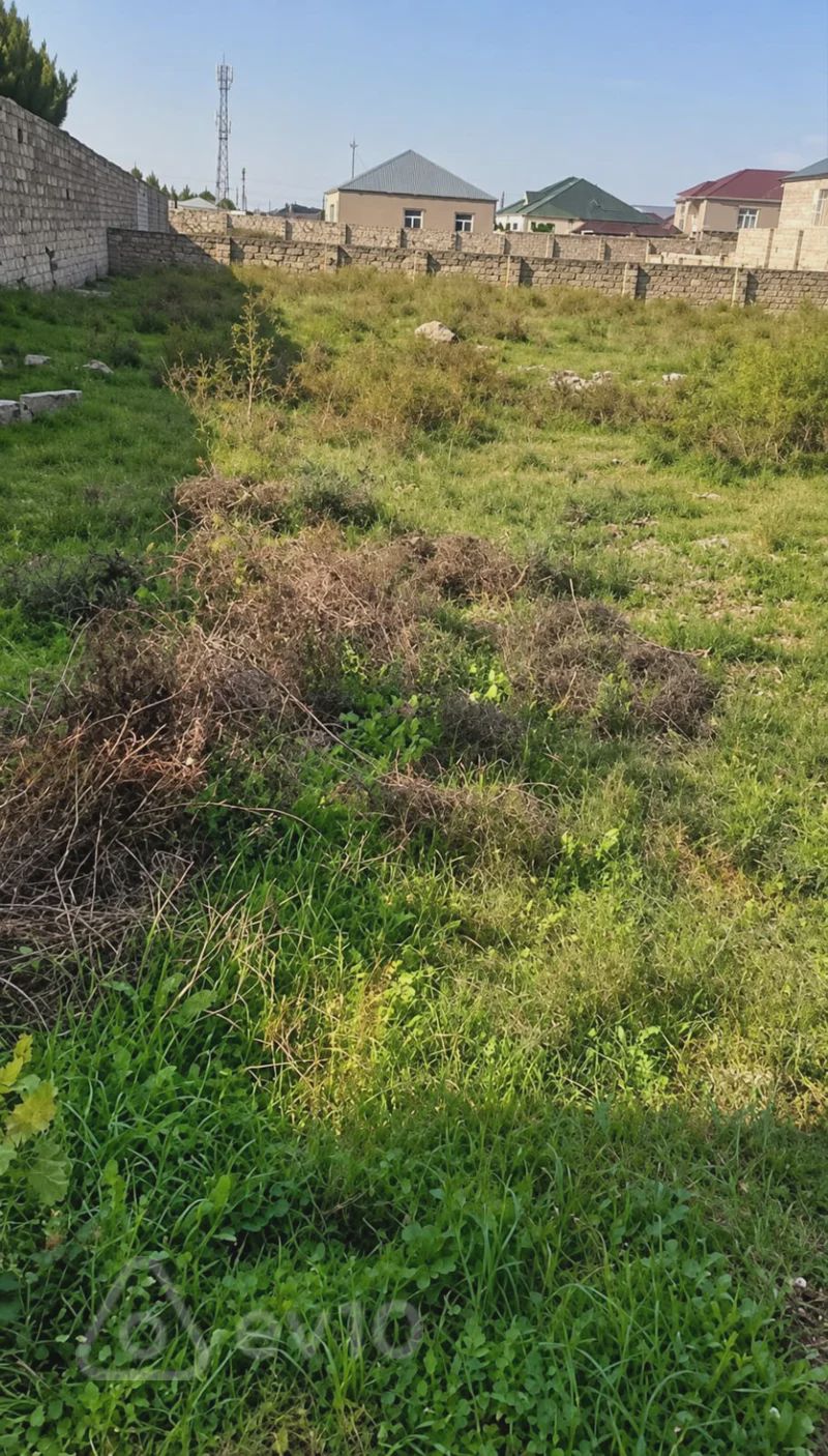Torpaq sahəsi, 12 sot, Xasaxuna — Torpaq, Bakı (3)