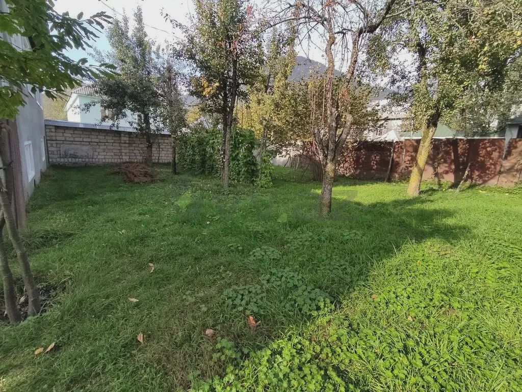 Sotiladi: участок, 32 sotix — Torpaq, Qəbələ (5)
