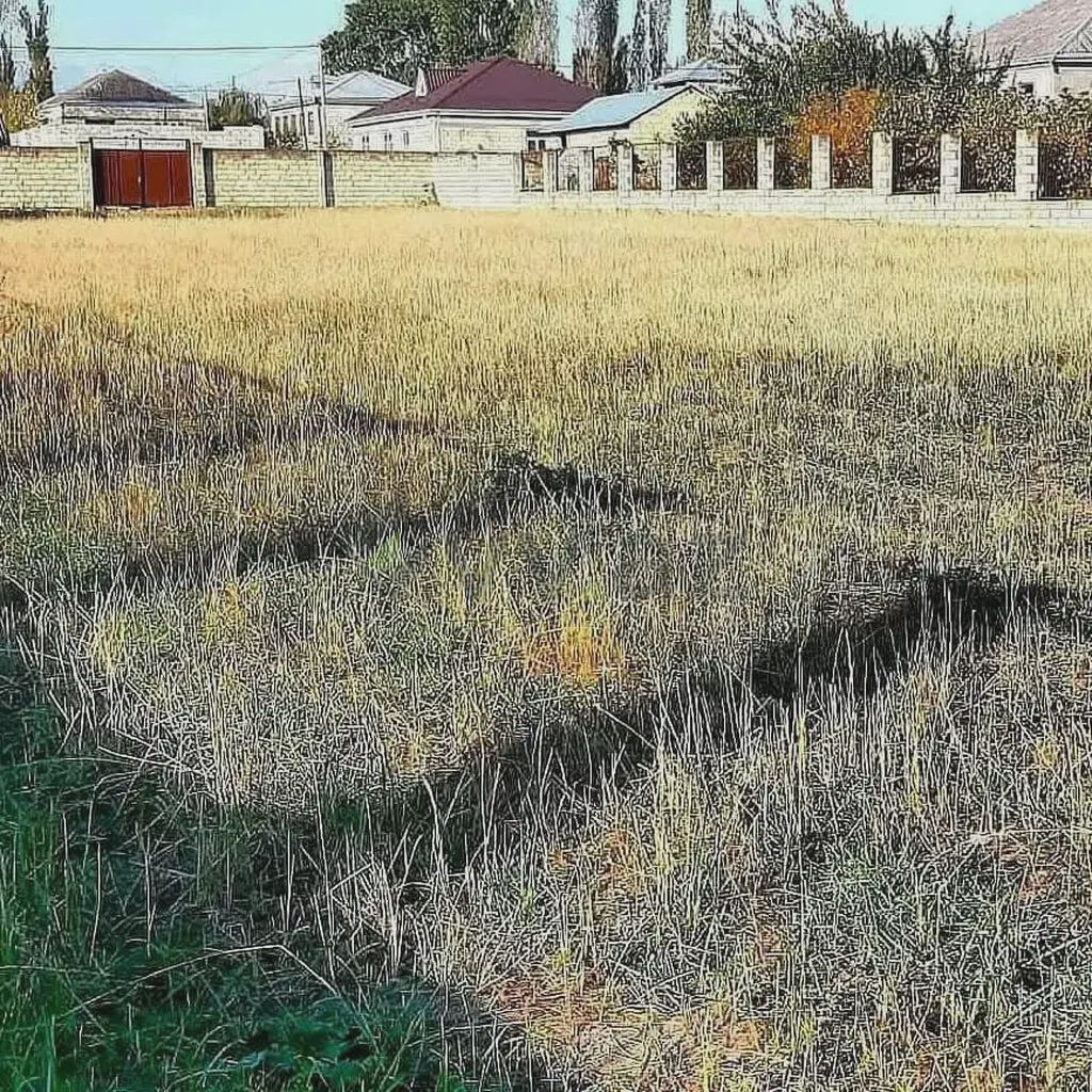For sale: land, 8 sot — Torpaq, Quba