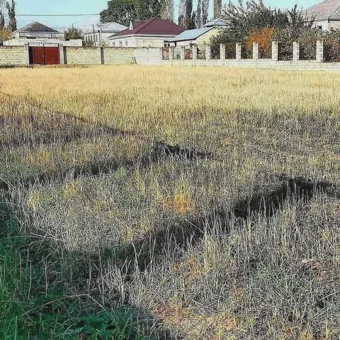 8 sot Torpaq Satılır, Quba — 56 000 ₼ · Губа · Torpaq 8 sot Torpaq Satılır, Quba — Губа
