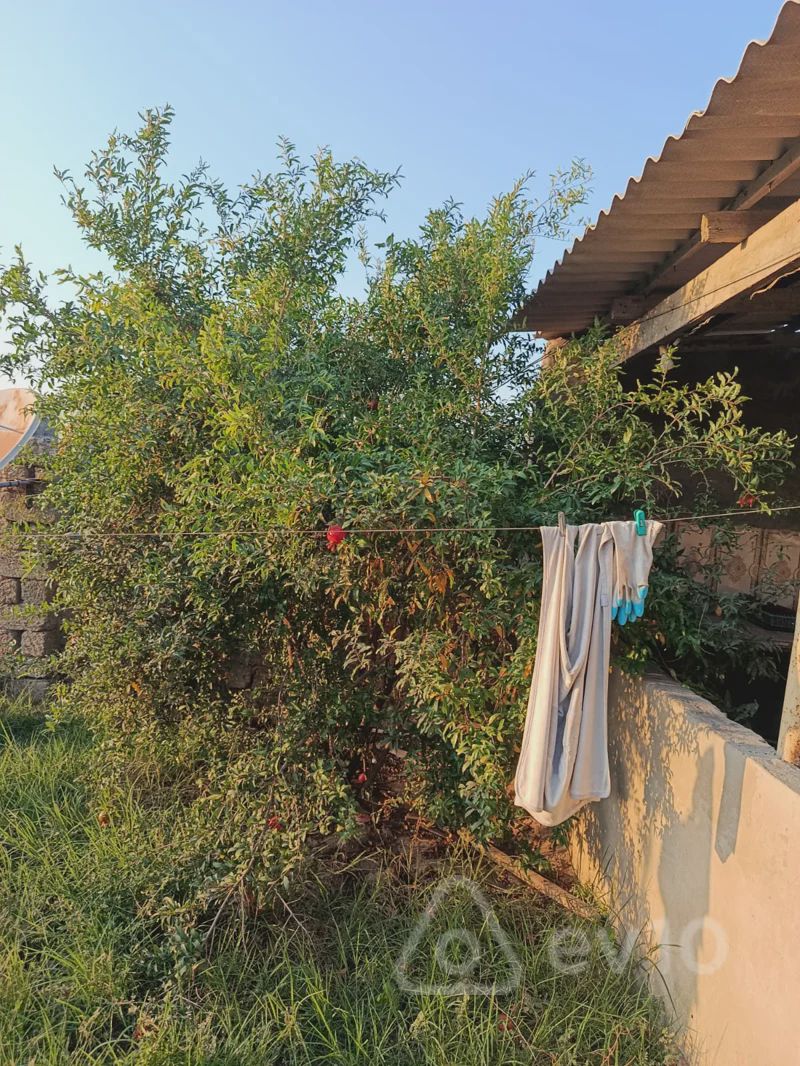For rent: 3-room house / Cottage / Villa, 67 m² — Ev, villa, Bakı (3)