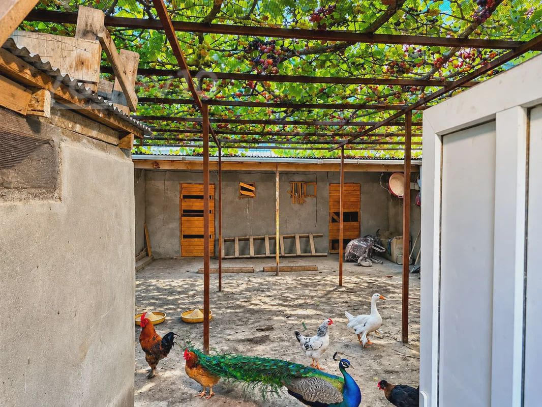 Sotiladi: дом / Дача / Вилла, 240 m² — Ev, villa, Bakı (12)