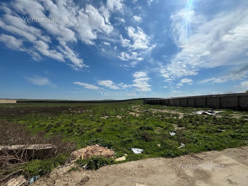 For sale: land, 32 sot — Torpaq, Abşeron (6)