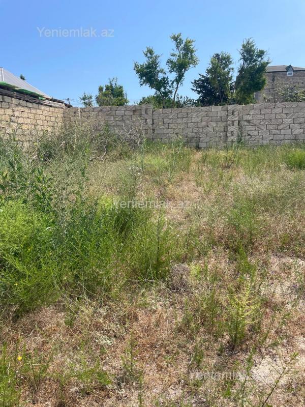 For sale: land, 12 sot — Torpaq, Sumqayıt (4)